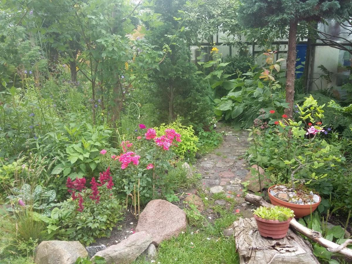 Privat overnatting Jaskolka Miedzyzdroje